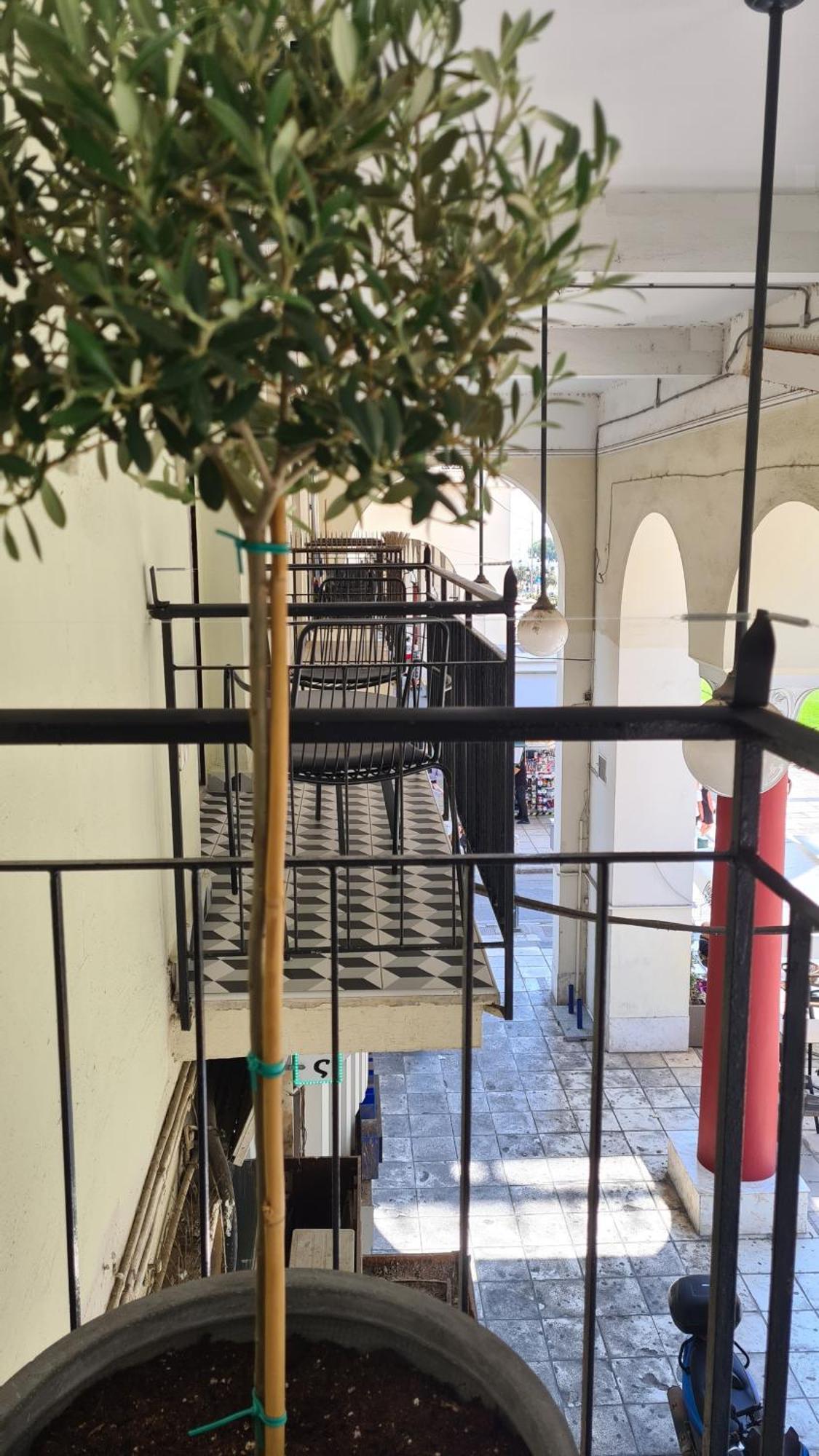 Μerάκι Aristotelous Sq Tessalónica Exterior foto